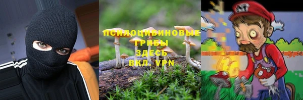 эйфоретик Богородск