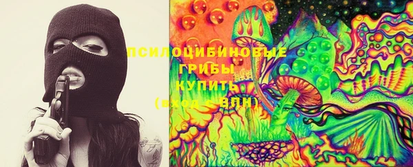 дживик Белоозёрский