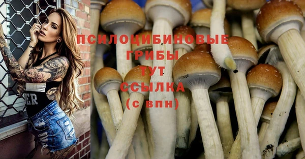 эйфоретик Богородск
